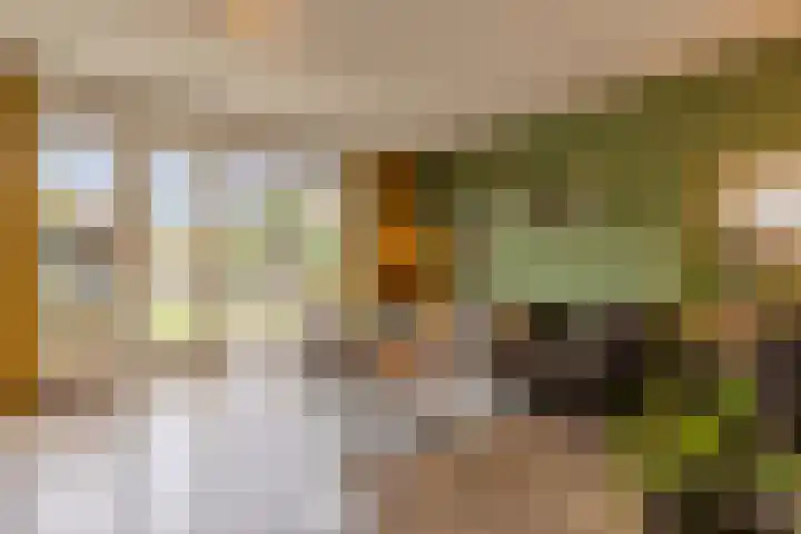 Ploeg 26 Holten thumbnail 10