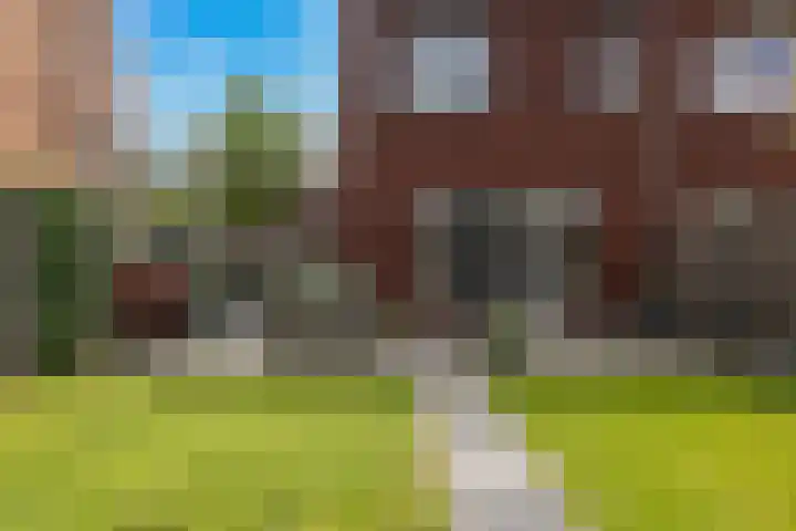 Ploeg 26 Holten thumbnail 24