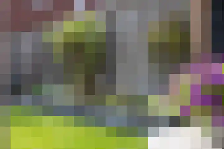 Ploeg 26 Holten thumbnail 25