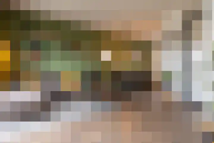 Ploeg 26 Holten thumbnail 9
