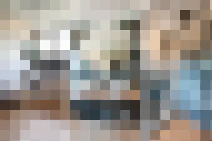 Ploeg 53 Berghem thumbnail 18