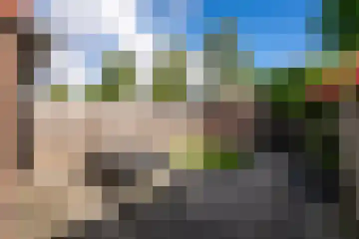 Ploeg 53 Berghem thumbnail 20