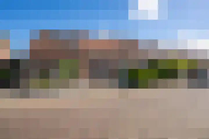 Ploeg 53 Berghem thumbnail 24