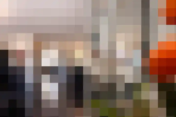 Ploeg 53 Berghem thumbnail 8