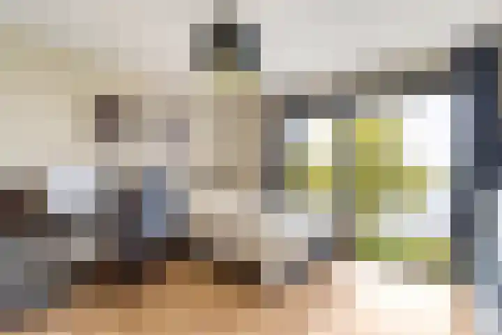 Ploeganker 55 Almere thumbnail 35