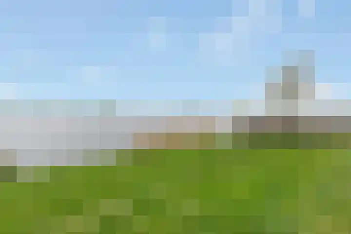 Ploeganker 55 Almere thumbnail 44