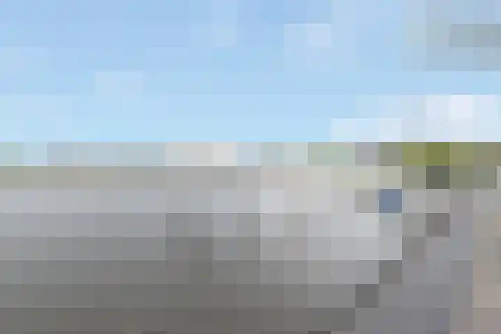 Ploeganker 55 Almere thumbnail 45