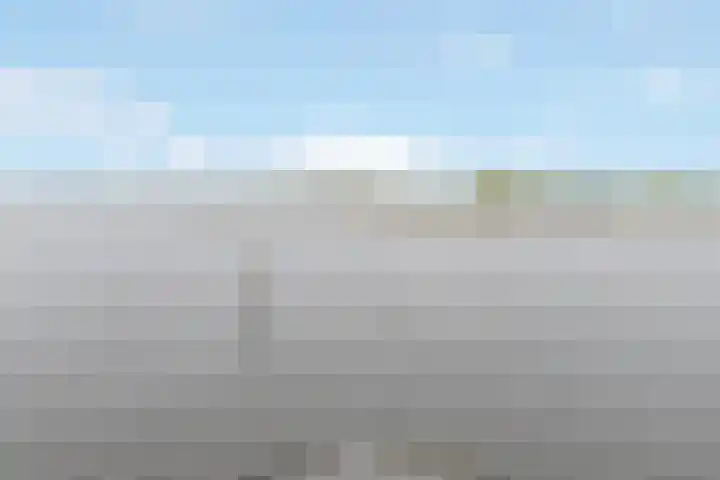 Ploeganker 55 Almere thumbnail 47