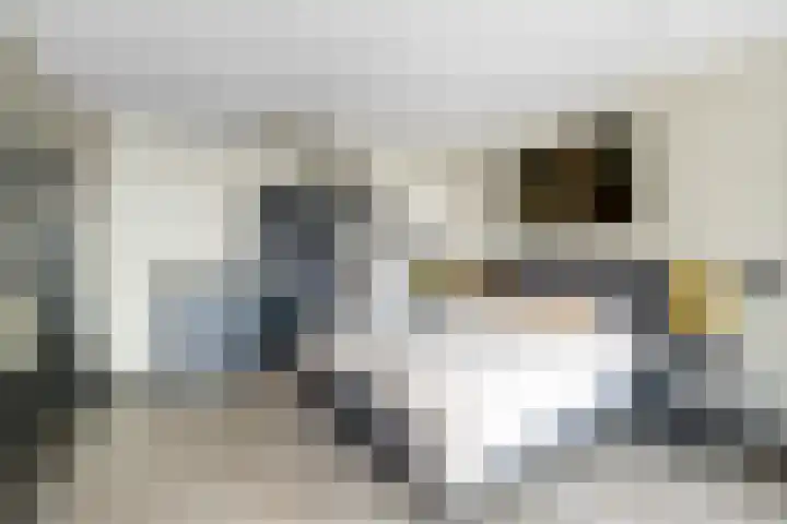 Ploeganker 55 Almere thumbnail 8