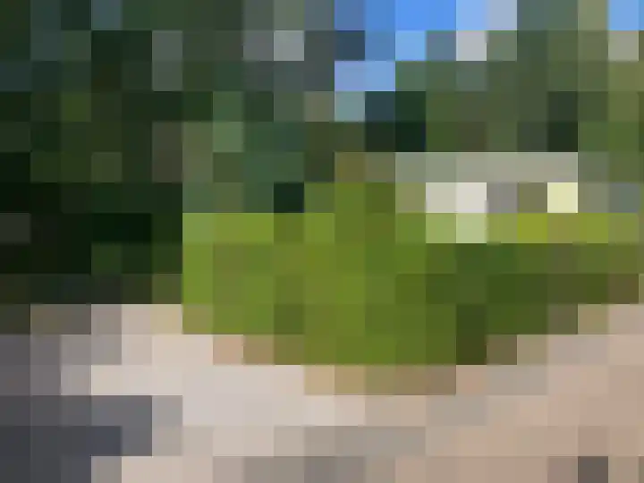 Ploegdijk 2 H351 Lochem thumbnail 20