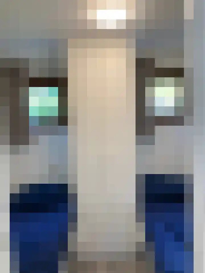 Ploegdijk 2 H351 Lochem thumbnail 9