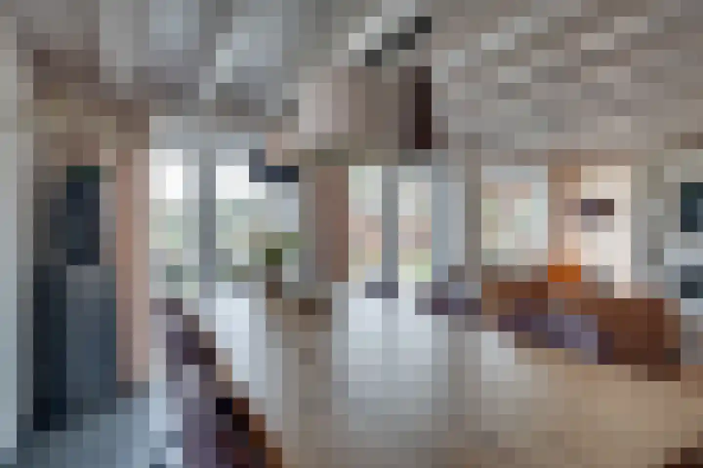 Ploegdijk 2 H437 Lochem thumbnail 14