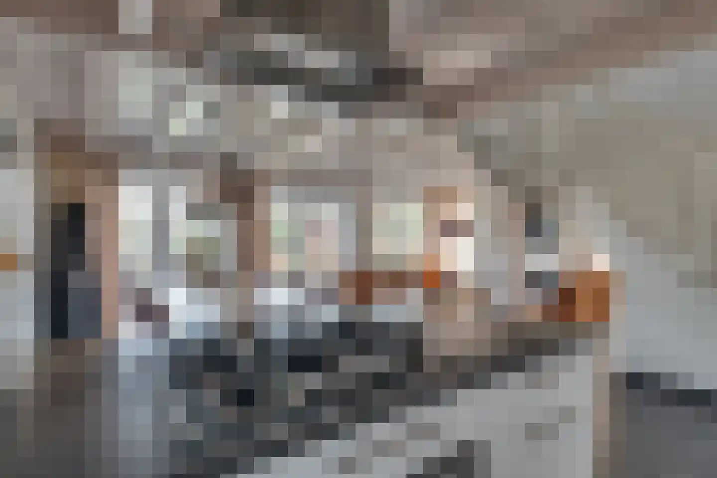 Ploegdijk 2 H437 Lochem thumbnail 21