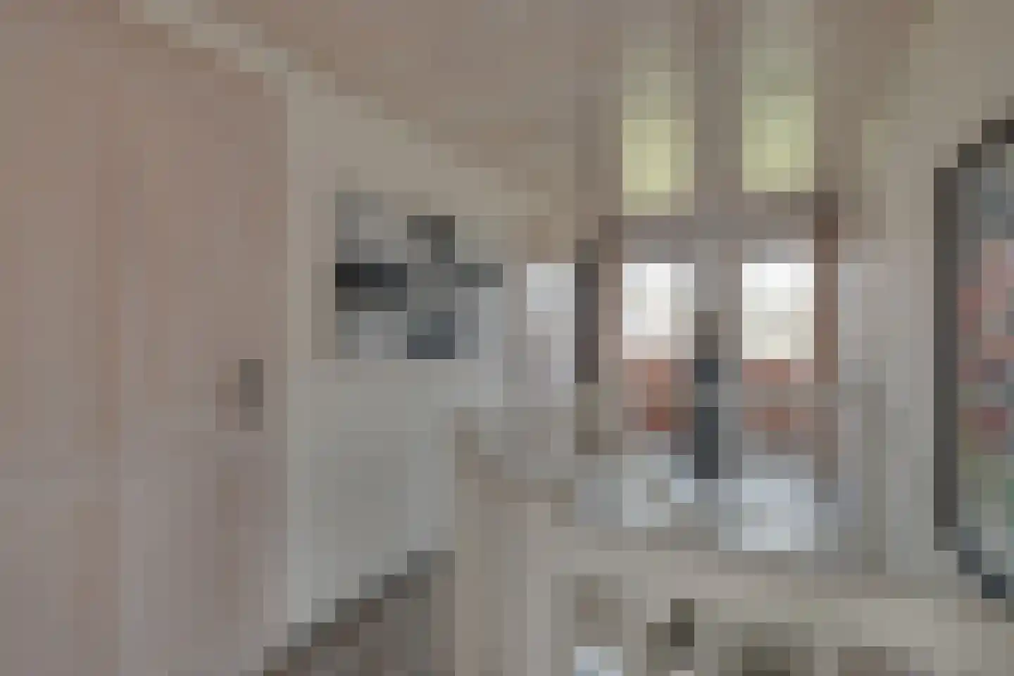 Ploegdijk 2 H437 Lochem thumbnail 29