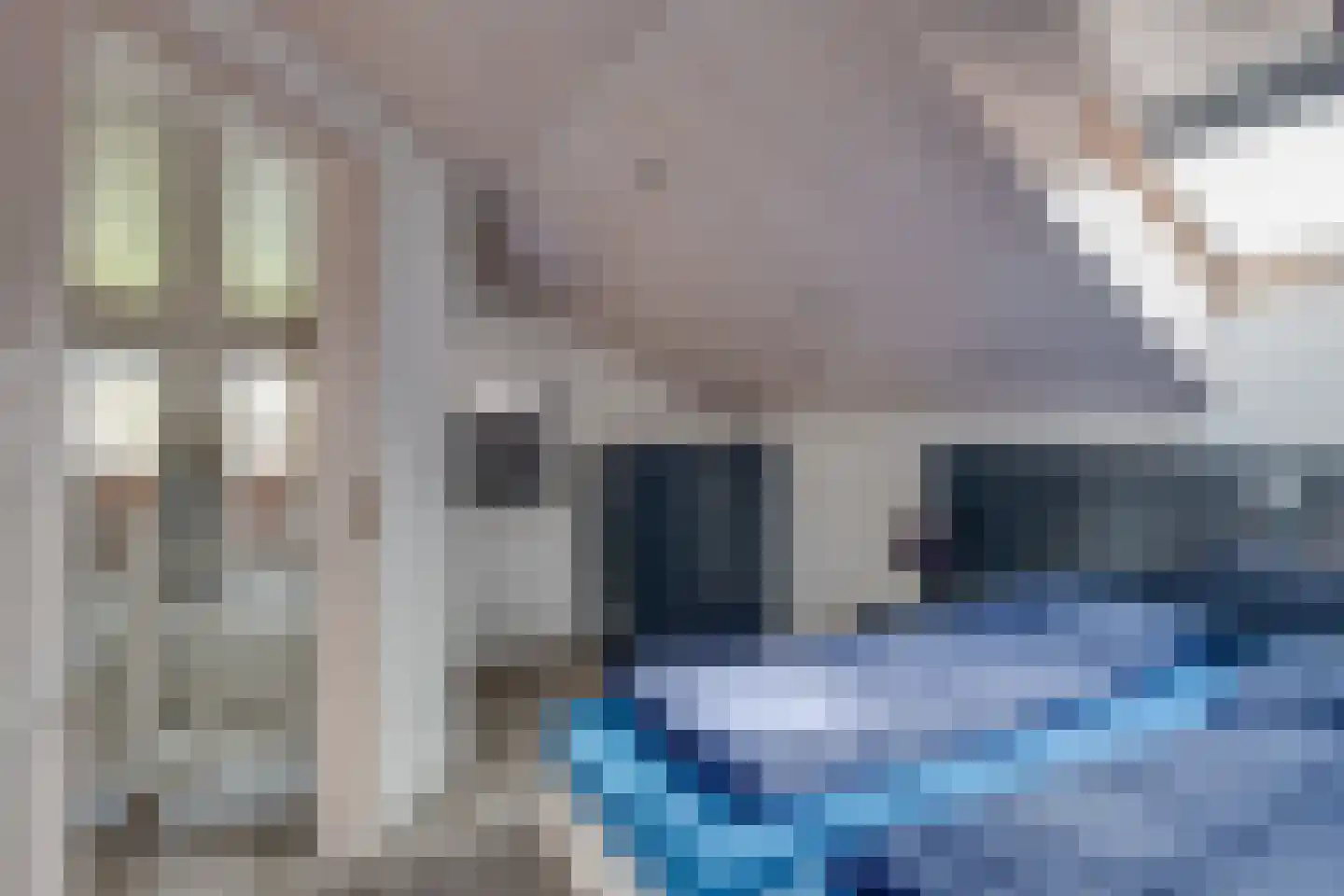 Ploegdijk 2 H437 Lochem thumbnail 34
