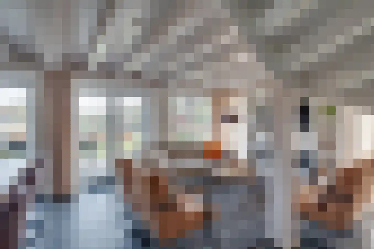 Ploegdijk 2 H437 Lochem thumbnail 8