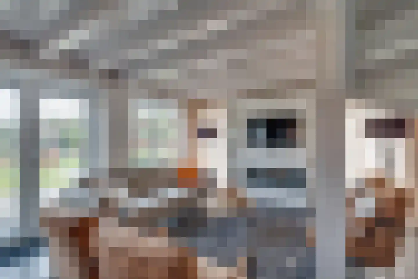 Ploegdijk 2 H437 Lochem thumbnail 9