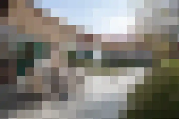 Ploegschaar 6 Wierden thumbnail 4