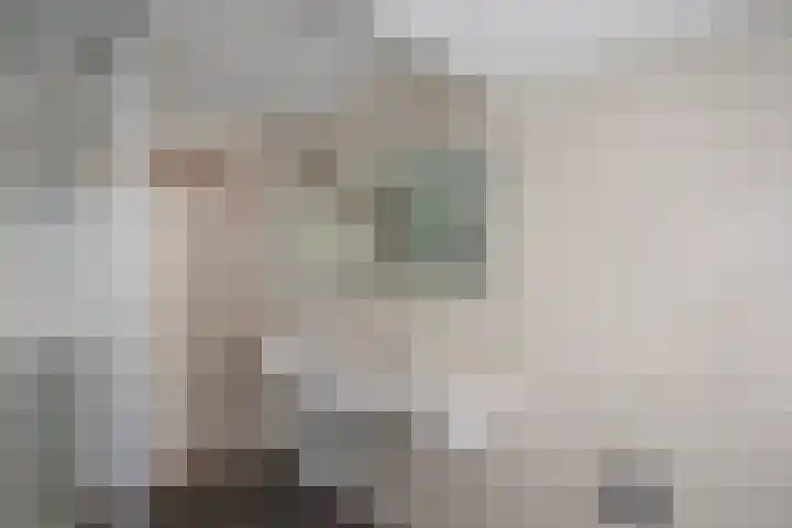 Ploegschaar 6 Wierden thumbnail 41