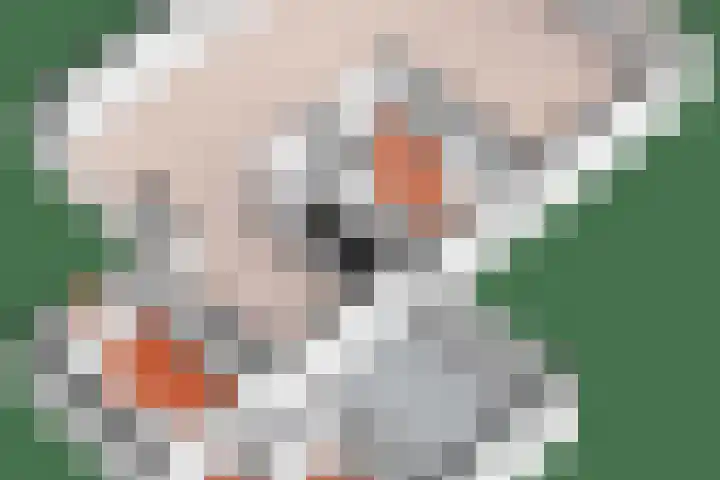 Ploegschaar 6 Wierden thumbnail 44