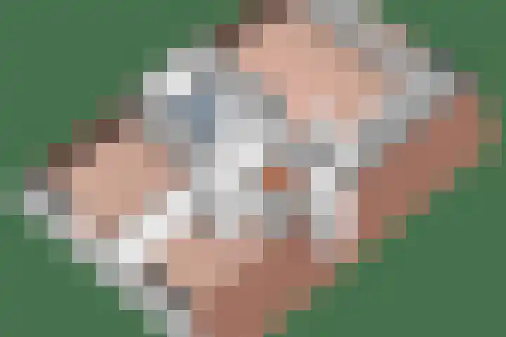 Ploegschaar 6 Wierden thumbnail 48