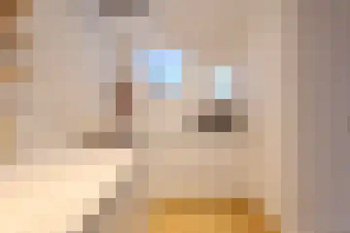Ploegstraat 49 Vught thumbnail 12