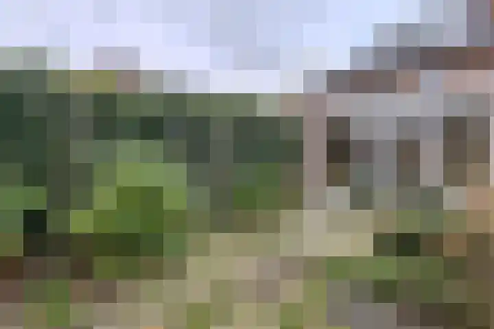 Ploegstraat 49 Vught thumbnail 29