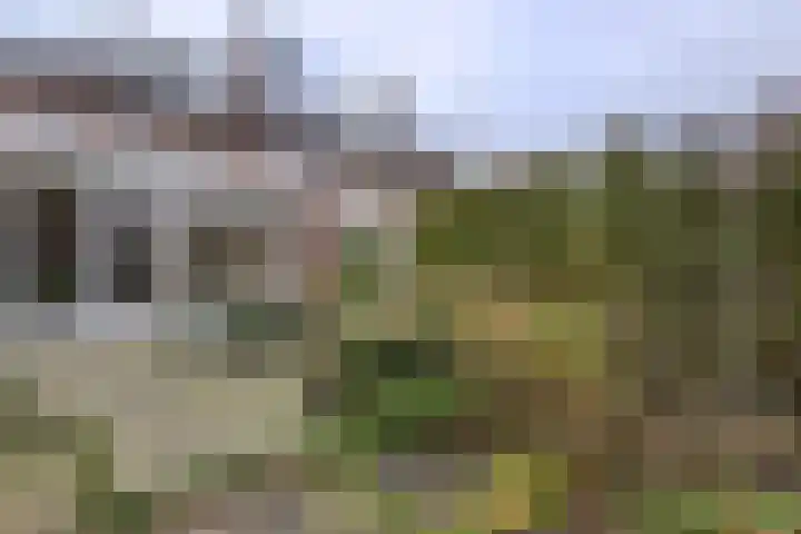 Ploegstraat 49 Vught thumbnail 30