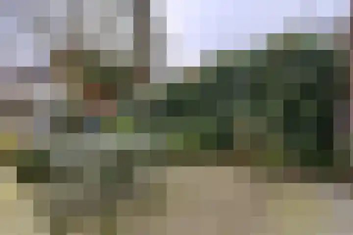 Ploegstraat 49 Vught thumbnail 33