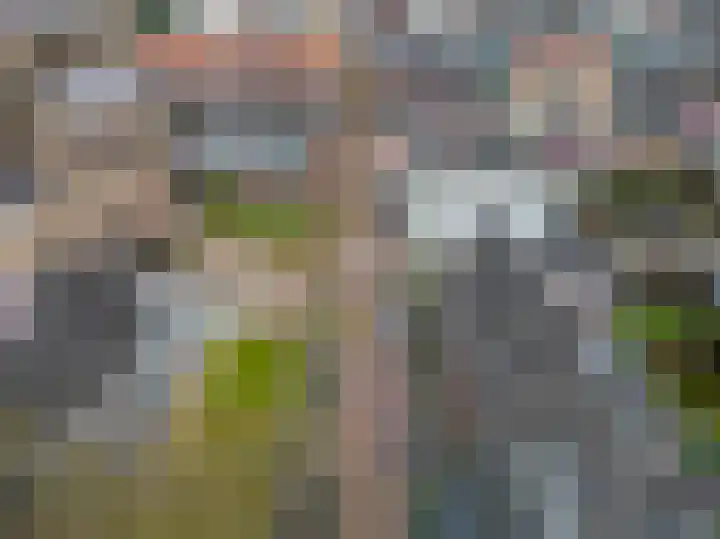 Ploegstraat 49 Vught thumbnail 37