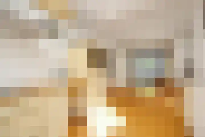 Ploegveld 13 Vught thumbnail 22