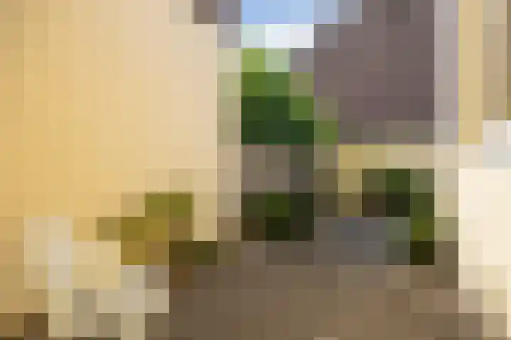 Ploegveld 13 Vught thumbnail 23