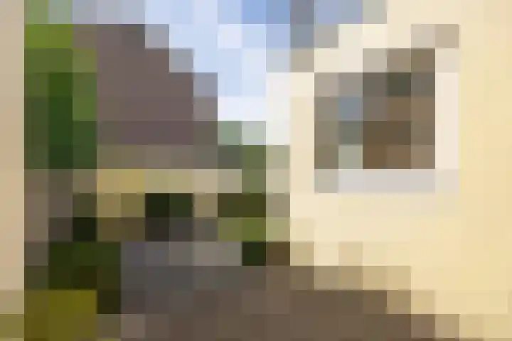 Ploegveld 13 Vught thumbnail 24
