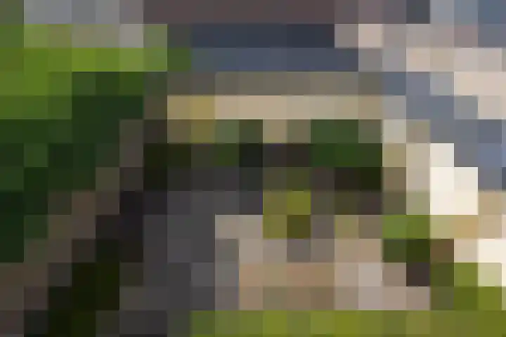 Ploegveld 13 Vught thumbnail 34