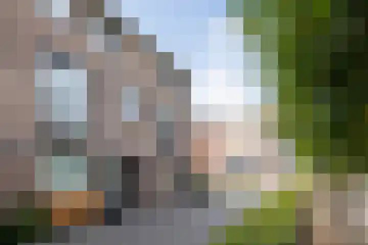 Ploegveld 13 Vught thumbnail 43