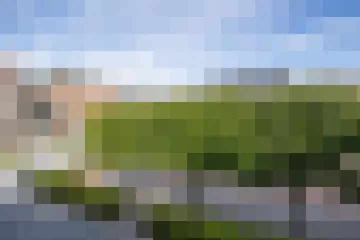 Ploegveld 13 Vught thumbnail 44