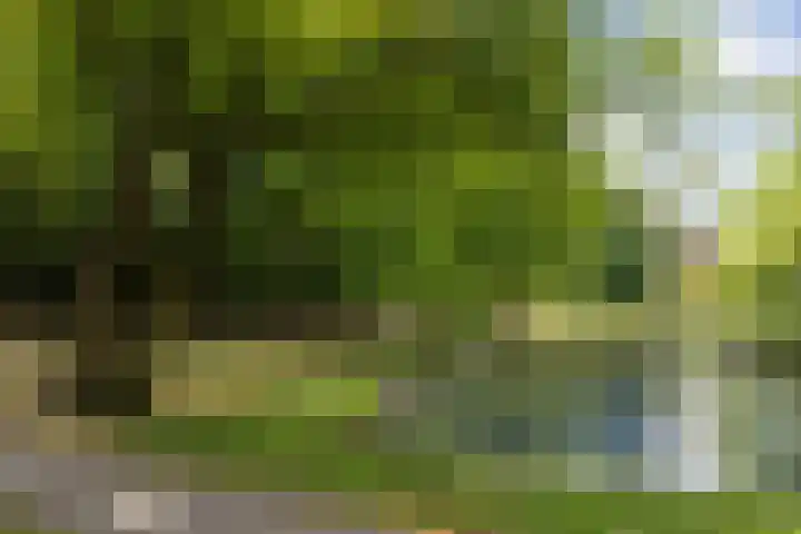 Ploegveld 13 Vught thumbnail 49