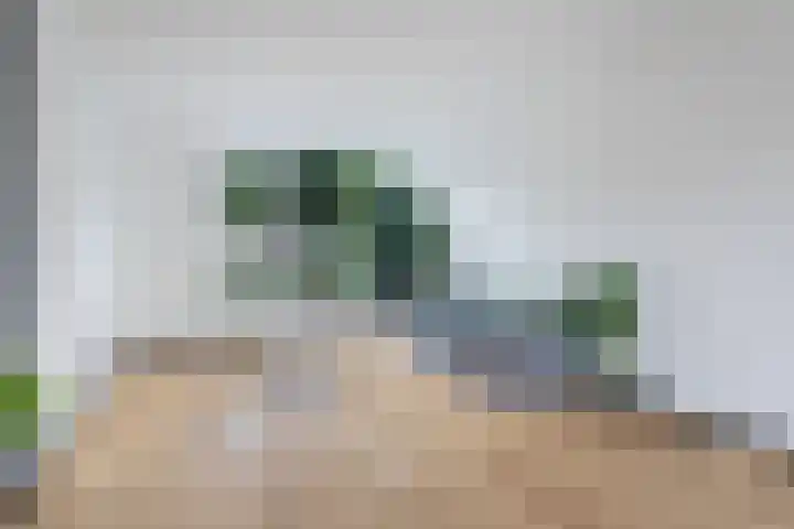 Ploegweg 9 Huizen thumbnail 10