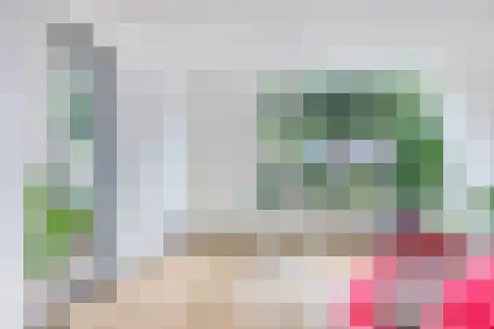 Ploegweg 9 Huizen thumbnail 15