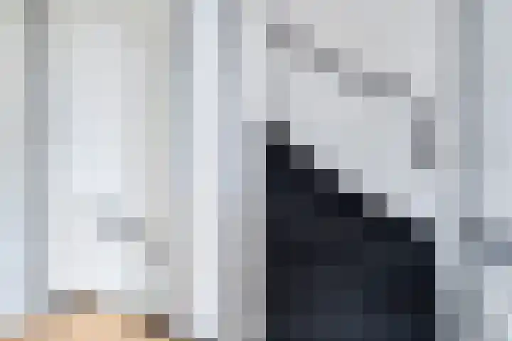 Ploegweg 9 Huizen thumbnail 18