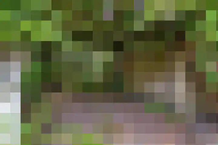Ploegweg 9 Huizen thumbnail 34
