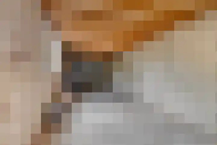 Ploegweg 9 Huizen thumbnail 36