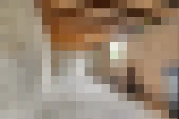 Ploegweg 9 Huizen thumbnail 37