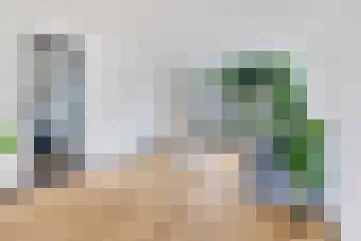 Ploegweg 9 Huizen thumbnail 43
