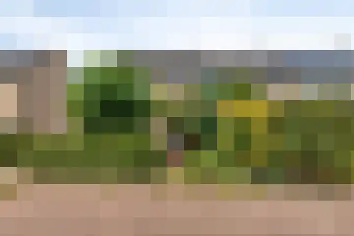 Ploegweg 9 Huizen thumbnail 6