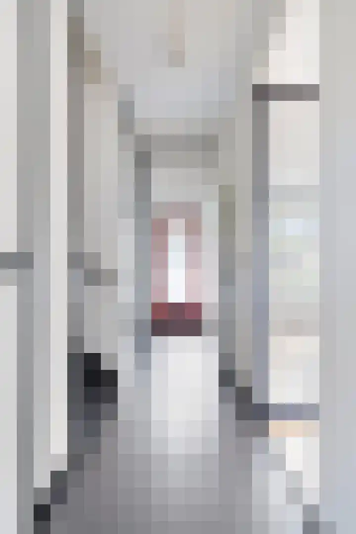 Ploegweg 9 Huizen thumbnail 8