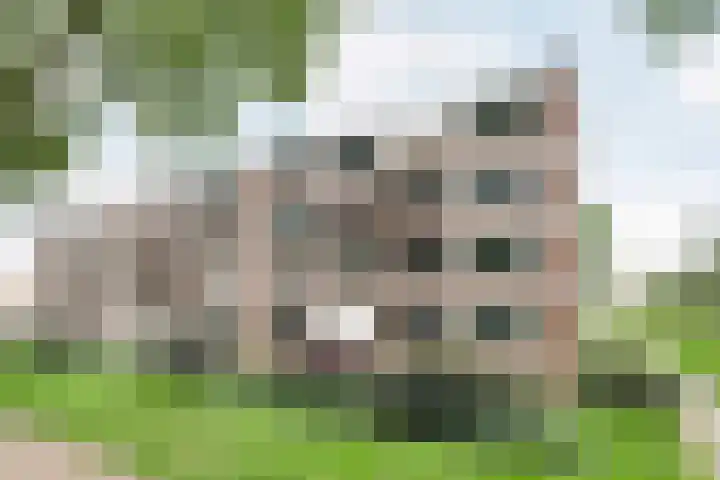 Plotinusstraat 128 in Rotterdam