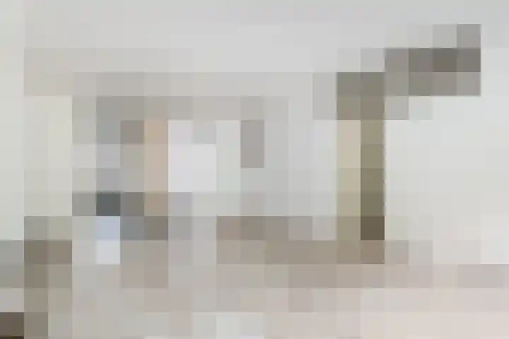 Plotinusstraat 128 Rotterdam thumbnail 11