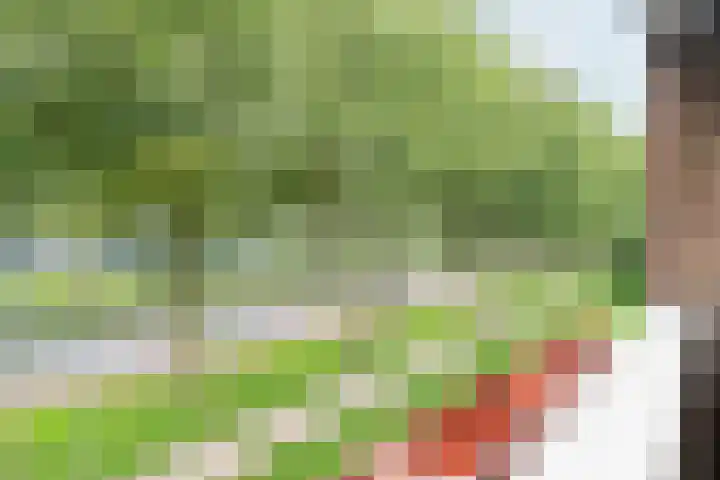 Plotinusstraat 128 Rotterdam thumbnail 20