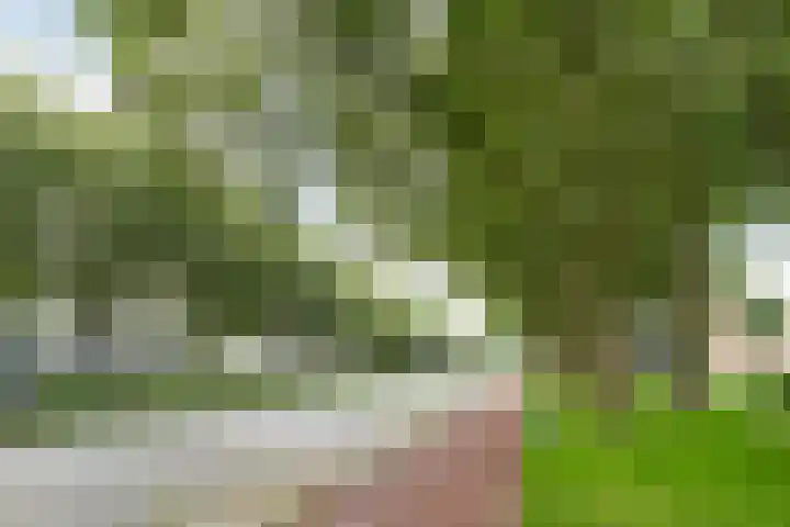 Plotinusstraat 128 Rotterdam thumbnail 28